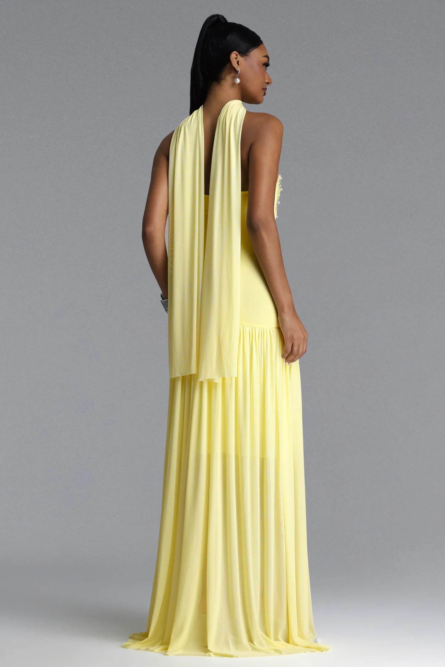 Radiant Embellished Strapless Chiffon Gown