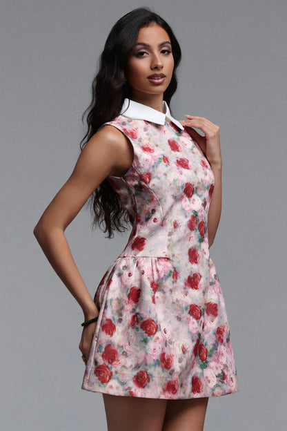 Romantic Rose Collared Fit & Flare Mini Dress