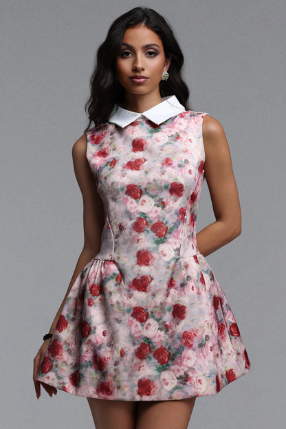 Romantic Rose Collared Fit & Flare Mini Dress