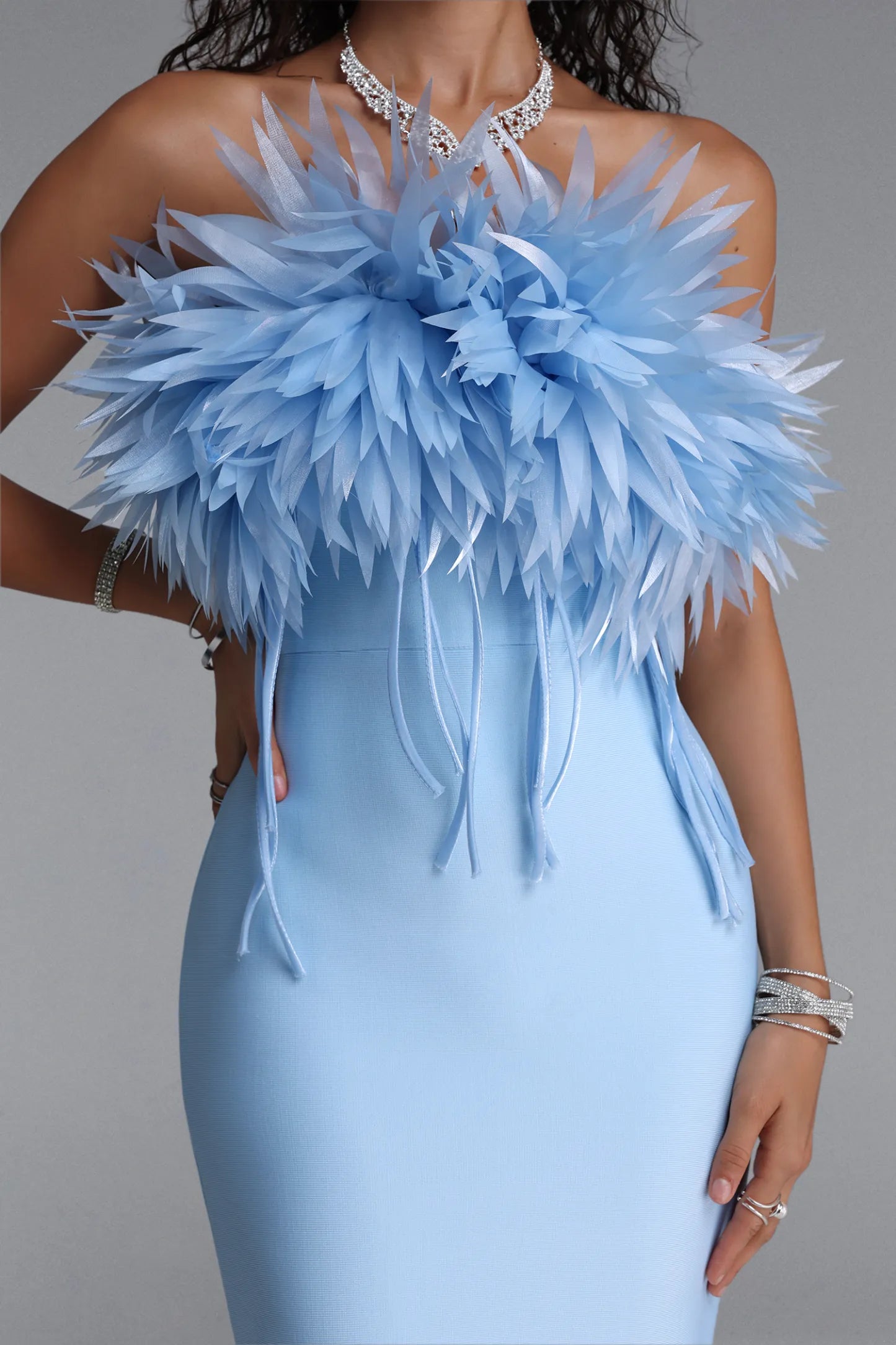 Powder Blue 3D Feather-Appliqué Column Gown