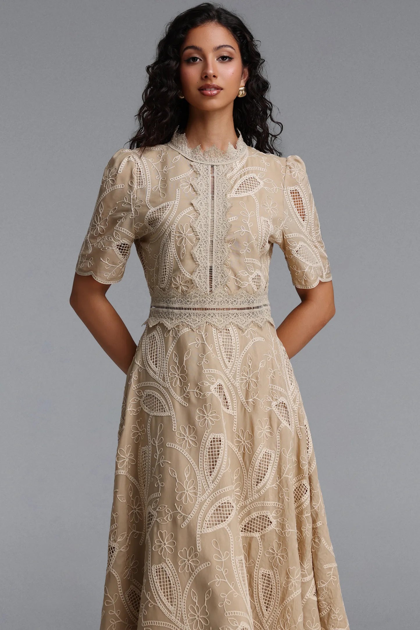 Embroidered Eyelet Lace Midi Dress - Tan