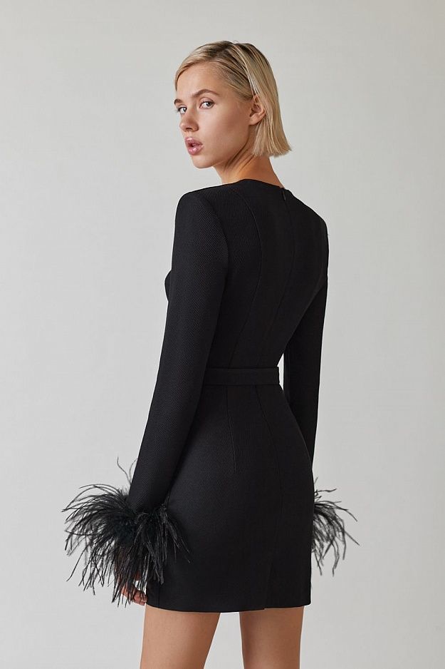 Elegant Black Feather-Trimmed Long Sleeve Mini Dress