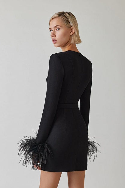 Elegant Black Feather-Trimmed Long Sleeve Mini Dress