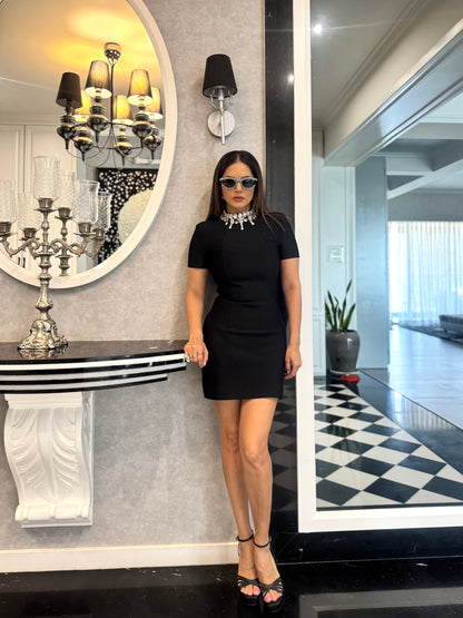 The Diamond –Coller Mini