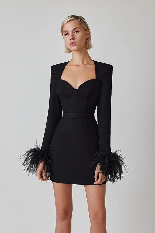 Elegant Black Feather-Trimmed Long Sleeve Mini Dress